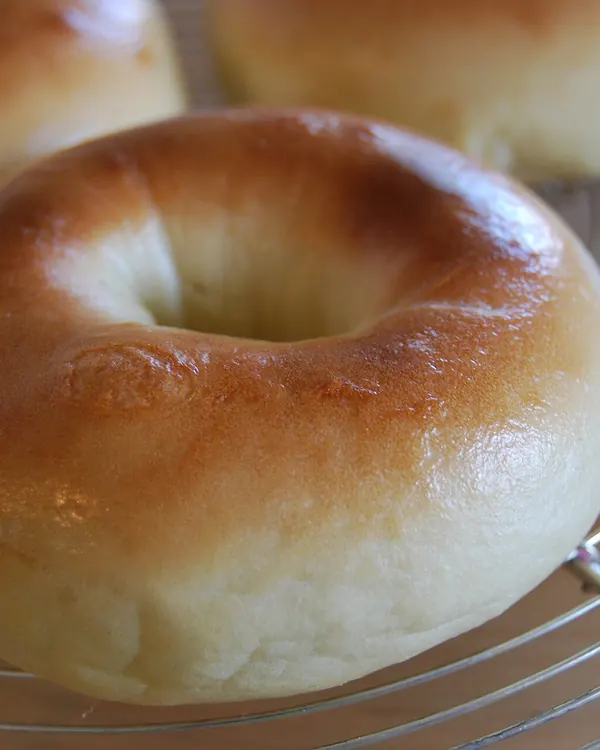 Plain bagels cooling on a wire rack