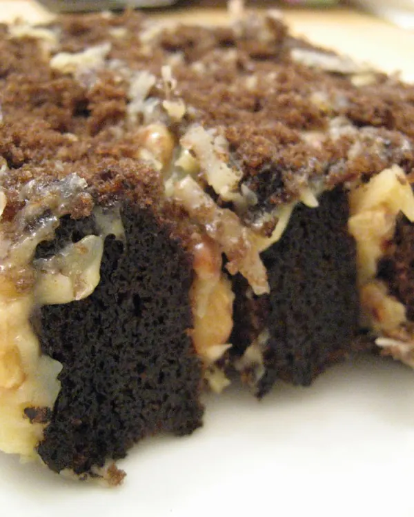 Chocolate layer cake topped with coconut and nut filling